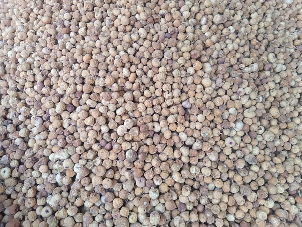خرید ویژه انجیر قهوه ای ریز (A) + ارسال سریع